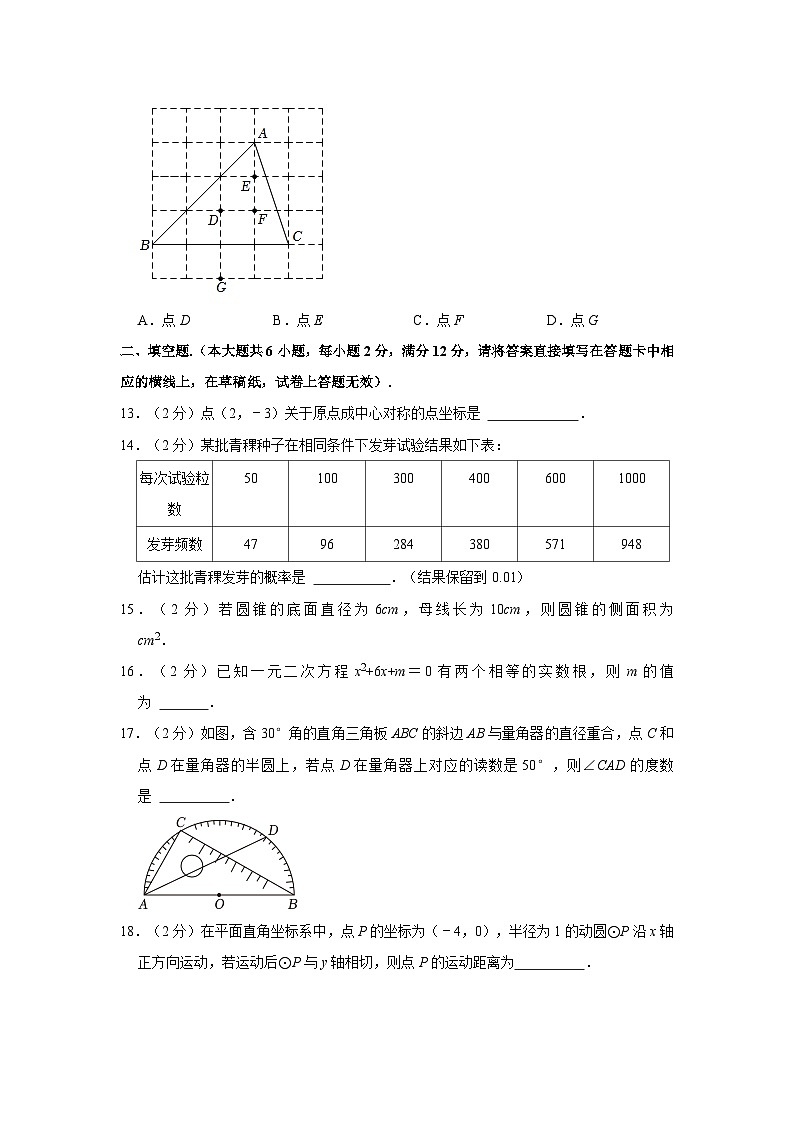 45，广西柳州市城中区2023-2024学年九年级上学期期中数学试卷第3页