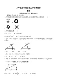 河南省驻马店市正阳县2023-2024学年八年级上学期12月月考数学试题