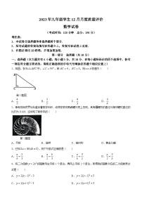 江苏省泰州市兴化市2023-2024学年九年级上学期12月月考数学试题