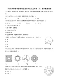 2022-2023学年甘肃省金昌市永昌县九年级（上）期末数学试卷（含解析）