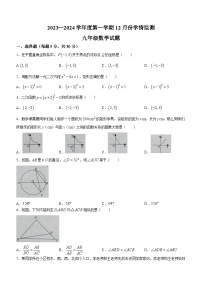 山东省济宁市金乡县2023-2024学年九年级上学期12月月考数学试题