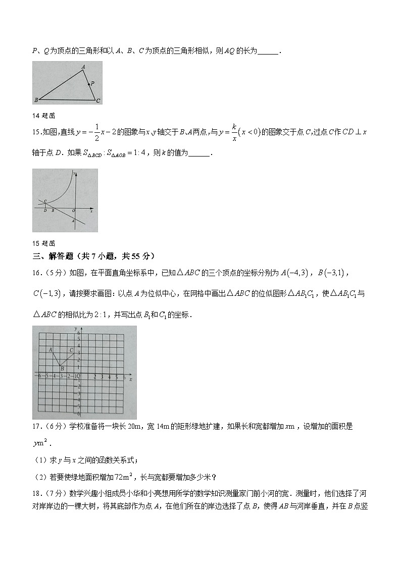 山东省济宁市金乡县2023-2024学年九年级上学期12月月考数学试题第3页