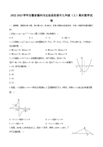 2022-2023学年安徽省滁州市定远县张桥片九年级（上）期末数学试卷（含解析）