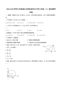 2022-2023学年江苏省宿迁市沭阳县怀文中学九年级（上）期末数学试卷（含解析）