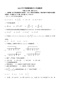 湖南省娄底市涟源市2023-2024学年八年级上学期月考数学试题（含答案）