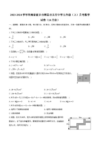 2023-2024学年河南省新乡市辉县市太行中学九年级（上）月考数学试卷（10月份）（含解析）