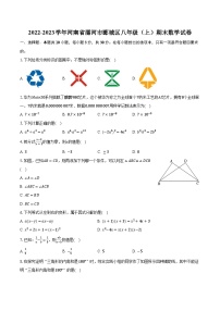 2022-2023学年河南省漯河市郾城区八年级（上）期末数学试卷（含解析）