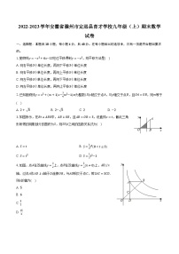 2022-2023学年安徽省滁州市定远县育才学校九年级（上）期末数学试卷（含解析）