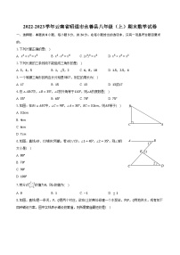 2022-2023学年云南省昭通市永善县八年级（上）期末数学试卷（含解析）