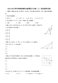 2022-2023学年河南省南阳市新野县九年级（上）期末数学试卷（含解析）