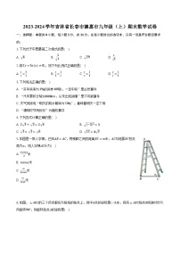 2023-2024学年吉林省长春市德惠市九年级（上）期末数学试卷（含解析）