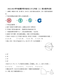 2022-2023学年新疆伊犁州奎屯八中九年级（上）期末数学试卷（含解析）