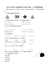 2022-2023学年广东省韶关市仁化县八年级（上）期末数学试卷（含解析）