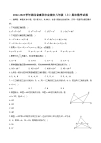 2022-2023学年湖北省襄阳市宜城市八年级（上）期末数学试卷（含解析）