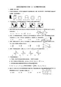 2023深圳龙岗区实验学校九年级上18周数学周末数学试卷