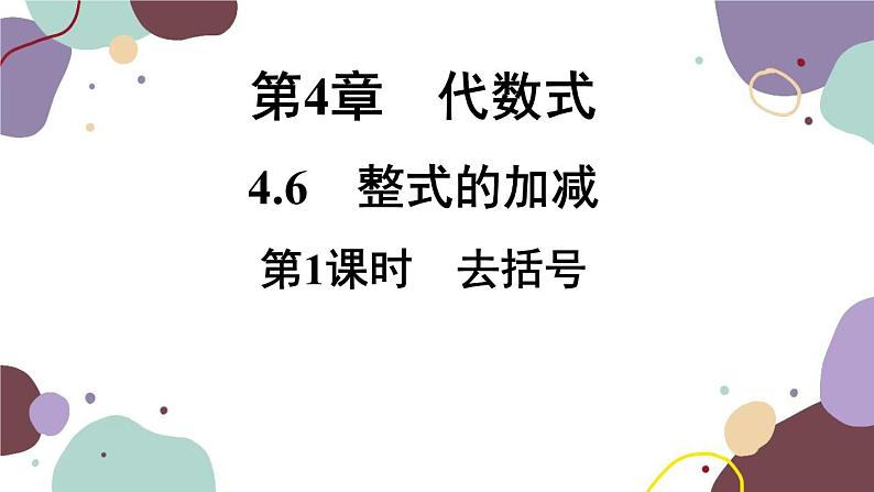 4.6 整式的加减 浙教版七年级数学上册课件01