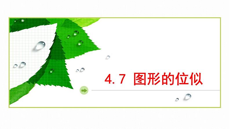 4.7 图形的位似 浙教版数学九年级上册同步课件01