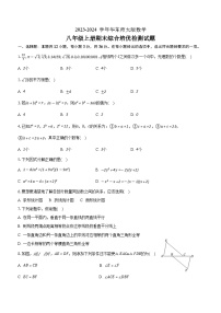 2023-2024学年华东师大版数学八年级上册期末综合培优检测试题（含答案）