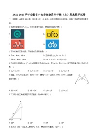 2022-2023学年安徽省六安市金寨县八年级（上）期末数学试卷（含解析）