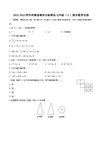 2022-2023学年河南省南阳市新野县七年级（上）期末数学试卷(含解析）