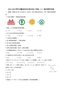 2022-2023学年安徽省池州市东至县八年级（上）期末数学试卷(含解析）