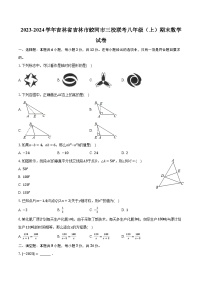 2023-2024学年吉林省吉林市蛟河市三校联考八年级（上）期末数学试卷(含解析）