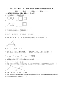 福建省莆田市荔城区黄石镇沙堤初级中学2023-2024学年九年级上学期第四次月考数学试题