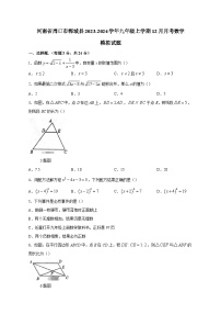 河南省周口市郸城县2023-2024学年九年级上学期12月月考数学模拟试题（含答案）