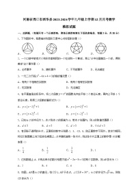 河南省周口市西华县2023-2024学年九年级上学期12月月考数学模拟试题（含答案）