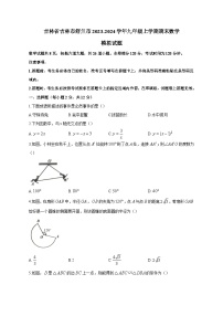 吉林省吉林市舒兰市2023-2024学年九年级上学期期末数学模拟试题（含答案）