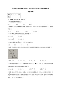 吉林省长春市榆树市2023-2024学年八年级上学期期末数学模拟试题（含答案）