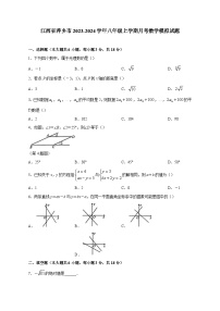 江西省萍乡市2023-2024学年八年级上学期月考数学模拟试题（含答案）