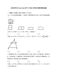 江西省萍乡市2023-2024学年九年级上学期月考数学模拟试题（含答案）