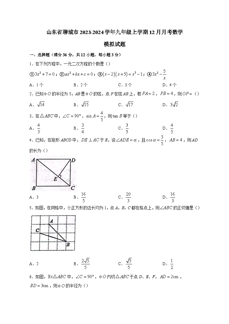 山东省聊城市2023-2024学年九年级上学期12月月考数学模拟试题（含答案）01
