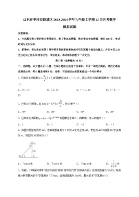 山东省枣庄市薛城区2023-2024学年九年级上学期12月月考数学模拟试题（含答案）