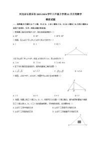 河北省石家庄市2023-2024学年八年级上学期12月月考数学模拟试题（含答案）