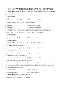 2023-2024学年湖南省怀化市通道县七年级（上）期中数学试卷（含解析）