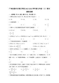 广东省惠州市博文学校2023-2024学年七年级上学期数学期末模拟检测试题