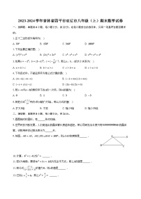 2023-2024学年吉林省四平市双辽市八年级（上）期末数学试卷（含解析）