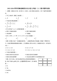 2023-2024学年河南省南阳市内乡县九年级（上）期中数学试卷（含解析）