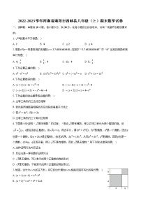 2022-2023学年河南省南阳市西峡县八年级（上）期末数学试卷（含解析）