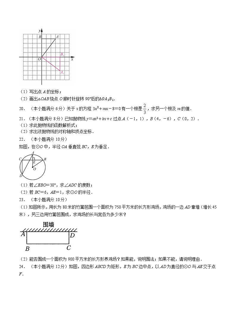 广东省韶关市翁源县2023-2024学年九年级上学期月考数学试题03