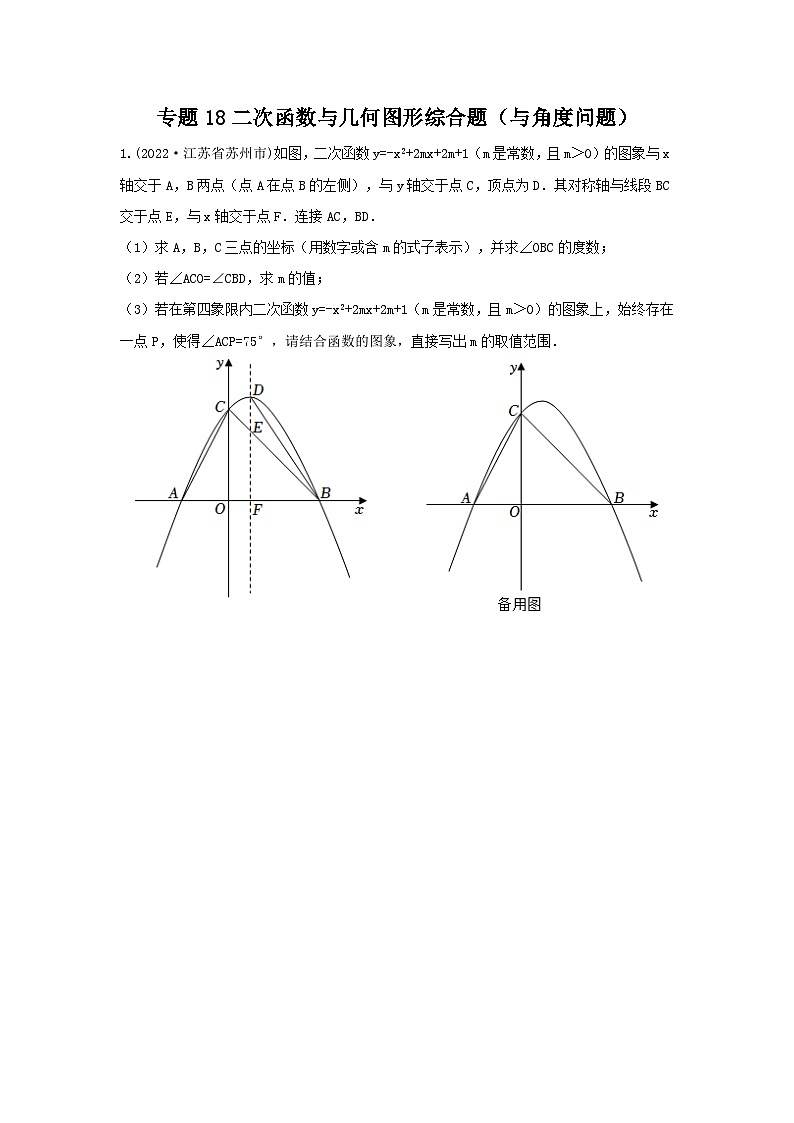 专题18 二次函数与几何图形综合题（与角度问题）（原卷版）第1页