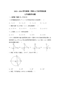 2023-2024学年山东省济宁市金乡县九年级上学期12月月考数学试题（含解析）