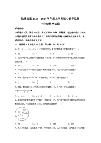 2023-2024学年广东省佛山市南海区七年级上学期期中数学试题（含解析）