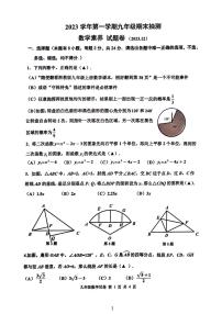 浙江省嘉兴市平湖市2023-2024学年九年级上册12月期末数学试题