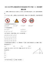 2023-2024学年云南省昆明市石林县鹿阜中学八年级（上）期末数学模拟试卷（含解析）