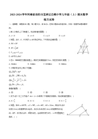 2023-2024学年河南省洛阳市孟津区白鹤中学九年级（上）期末数学练习试卷（含解析）