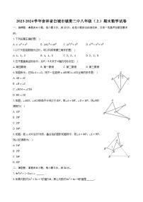 2023-2024学年吉林省白城市镇赉二中八年级（上）期末数学试卷（含解析）