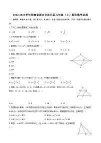 2022-2023学年河南省周口市沈丘县九年级（上）期末数学试卷（含解析）